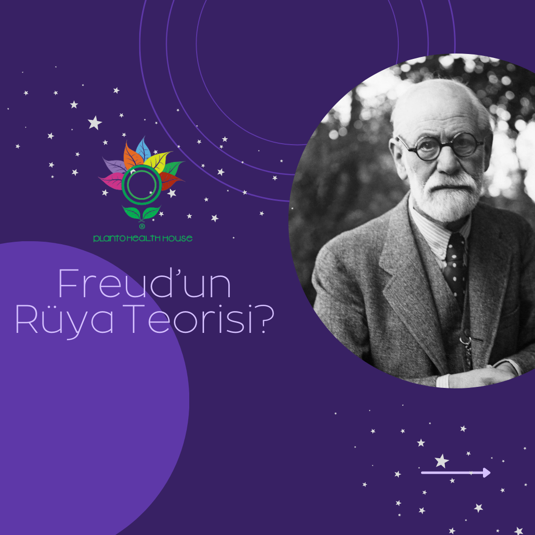 Freud'un Rüya Teorisi