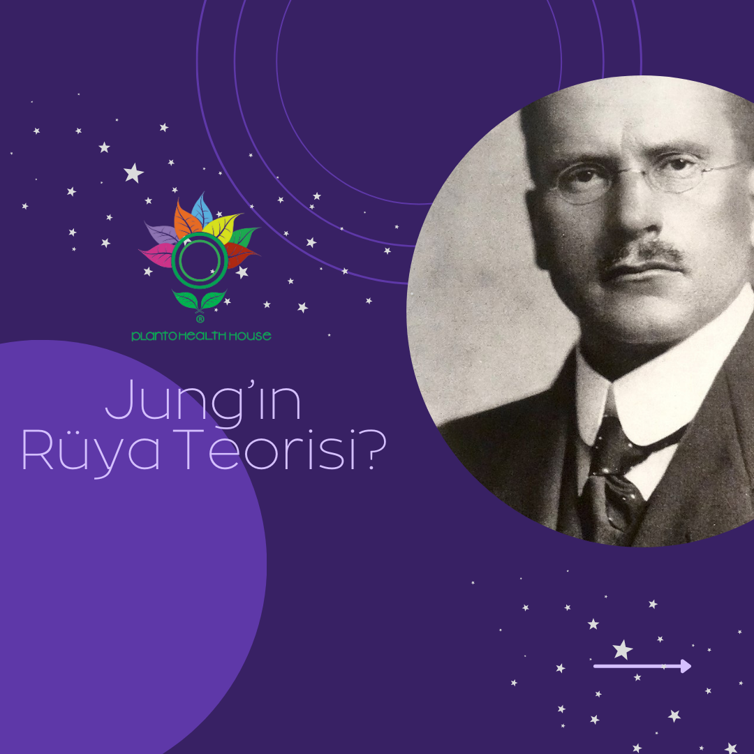 Jung'ın Rüya Teorisi
